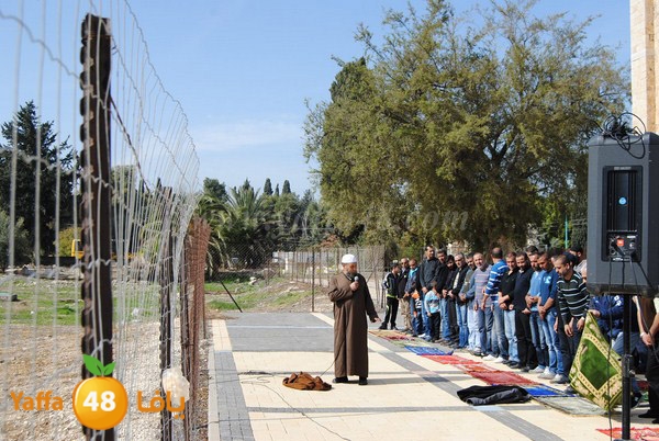 istesqa2 ramla 0201 (6).JPG